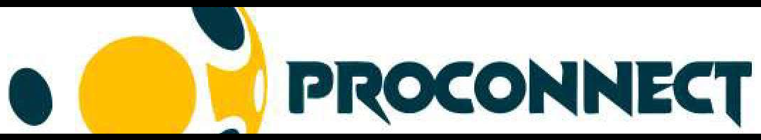 PROCONNECT ANGOLA, Lda